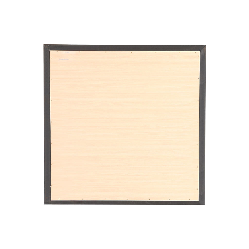 Burlington - Modern Design Transitional Wall Mirror