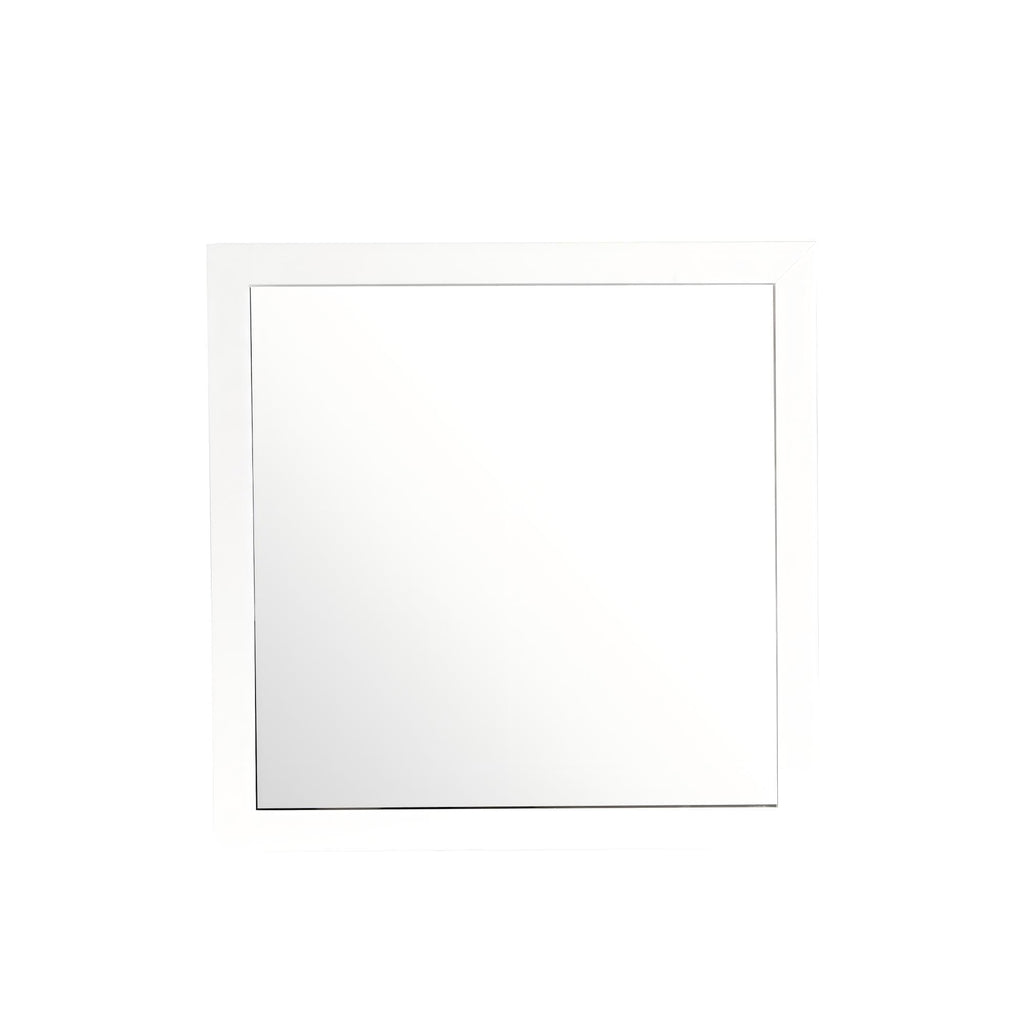 Burlington - Modern Design Transitional Wall Mirror