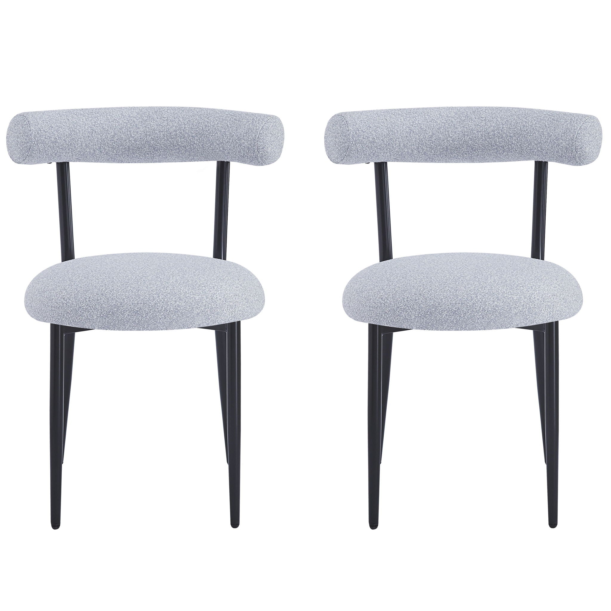 Modern Dining Room Chairs (Set of 2)